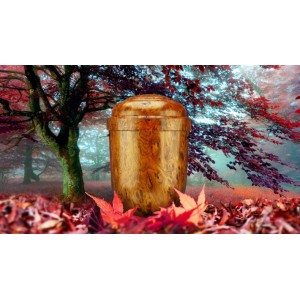 Biodegradable Cremation Ashes Funeral Urn / Casket - NATURAL WALNUT EFFECT